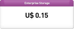 Enterprise Storage