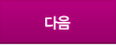 다음